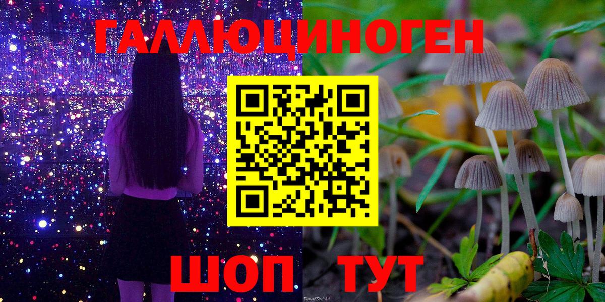 Нурлат  Галлюциногенные грибы Psilocybe  Вход с VPN  Галлюциногенные грибы Psilocybine cubensis 